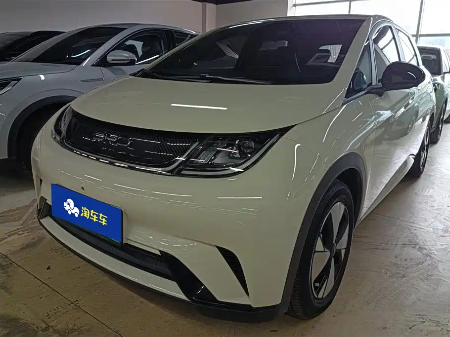 BYD Dolphin 2023 420km Fashion