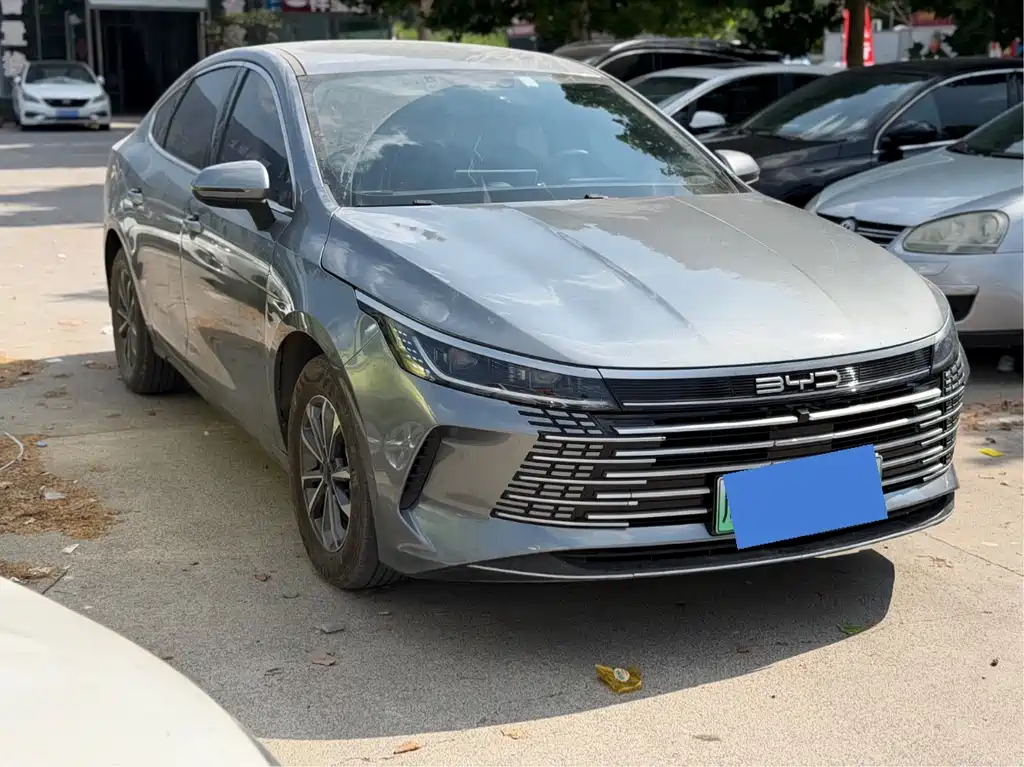 BYD Destroyer 05 2024 DM-i 55KM Luxury
