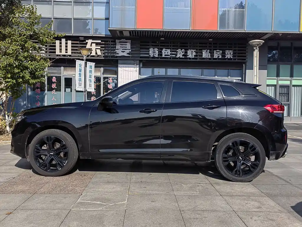 WEI PAI WEI BRAND VV7