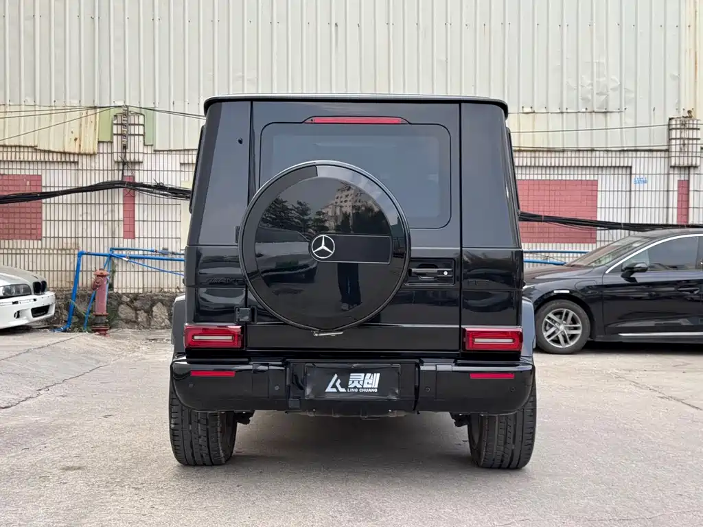 Mercedes-Benz G-Class G 2010 G 500