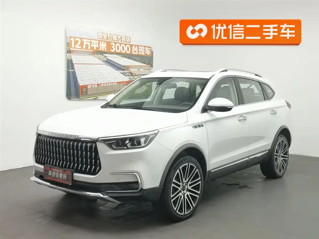Leopaard Mattu 2020
