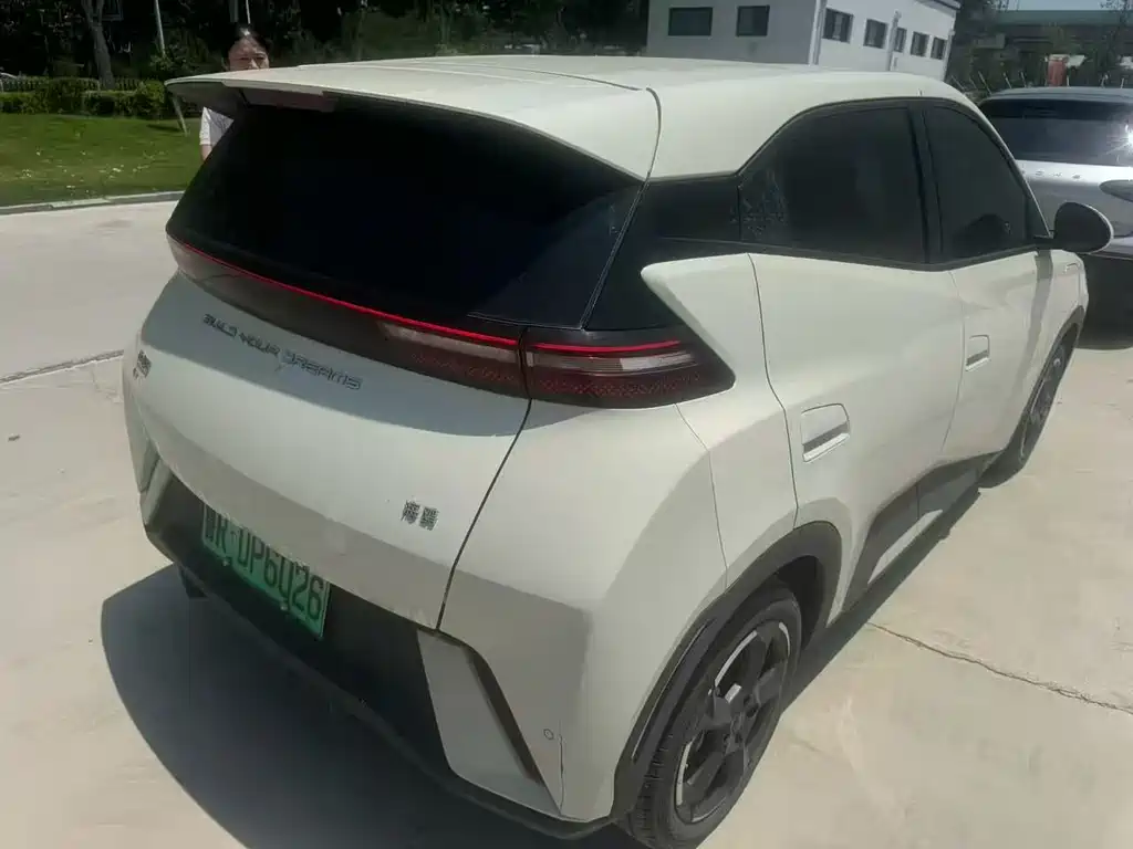 BYD Seagull 2024 405km Flying