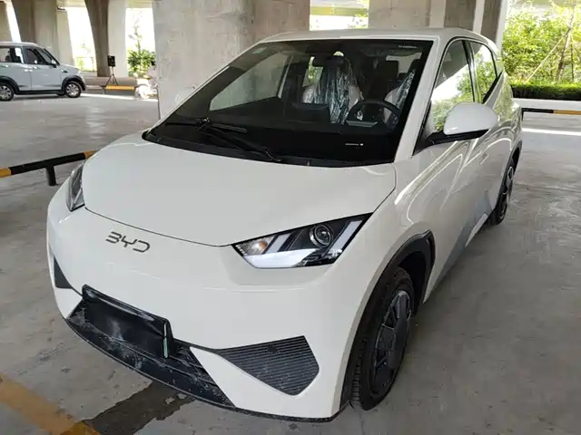 2026 BYD Seagull