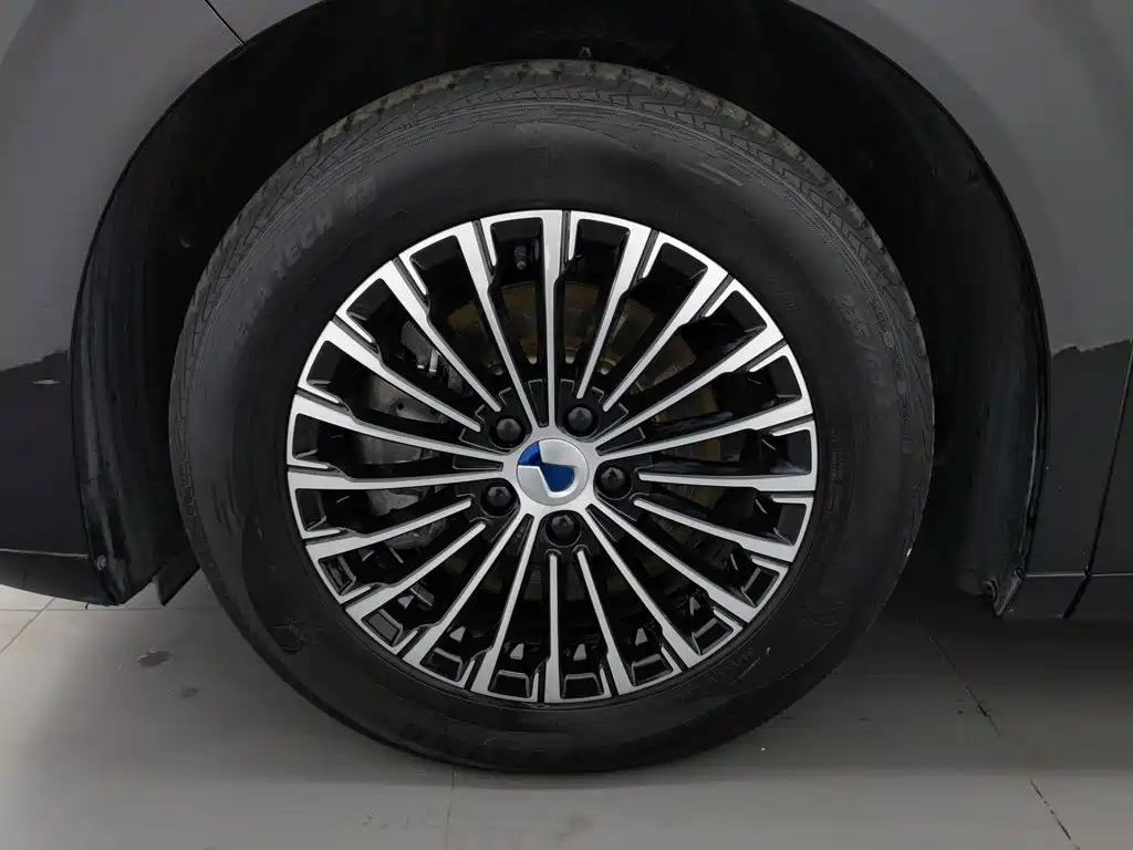 Denza Denza D9 — миниатюра 17