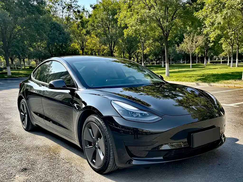 Tesla Model 3 — миниатюра 3