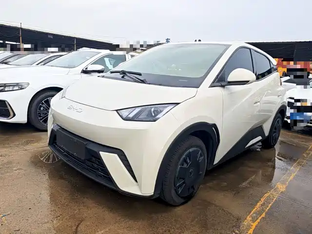 2025 BYD Seagull