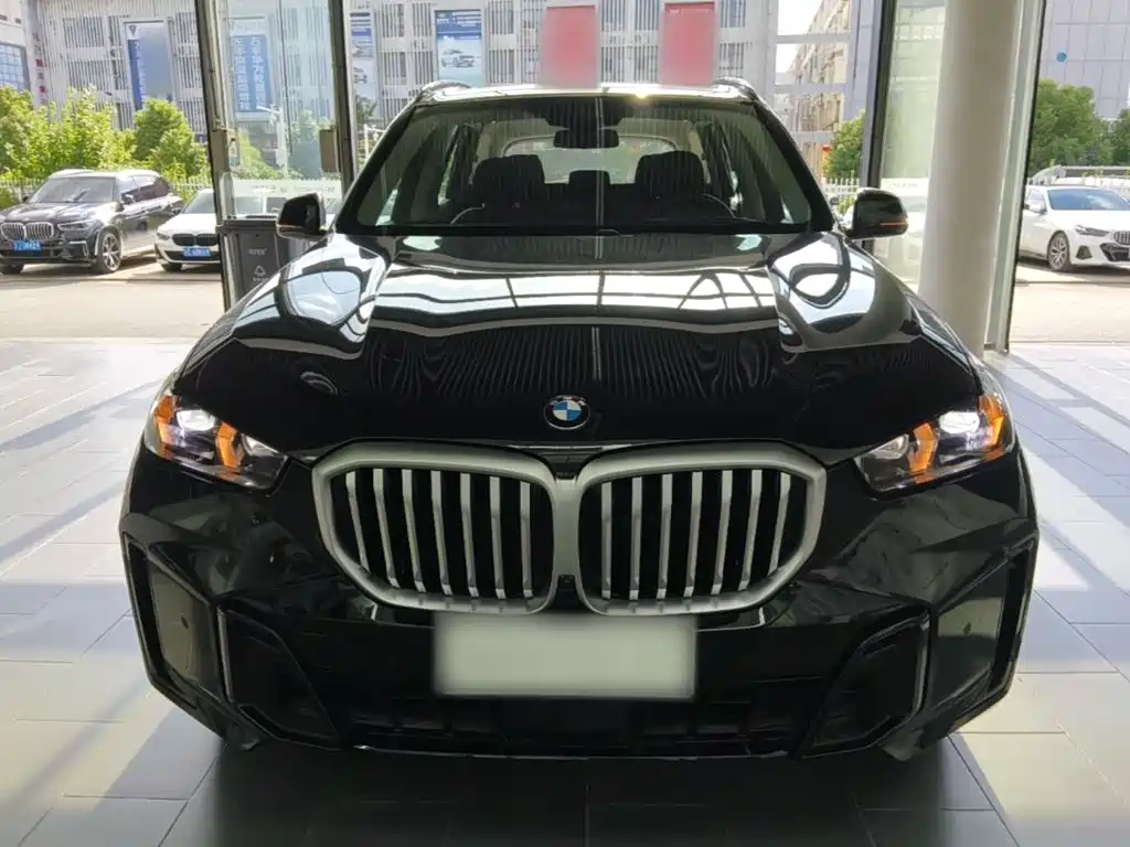 BMW X5 — миниатюра 3