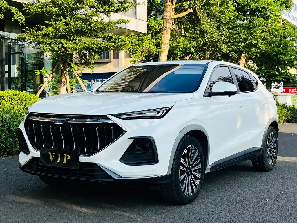 Oshan Oushang X5 2021