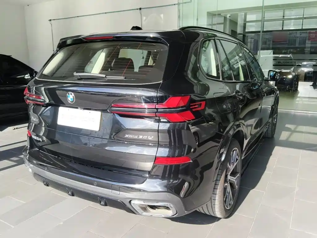 BMW X5 — миниатюра 7