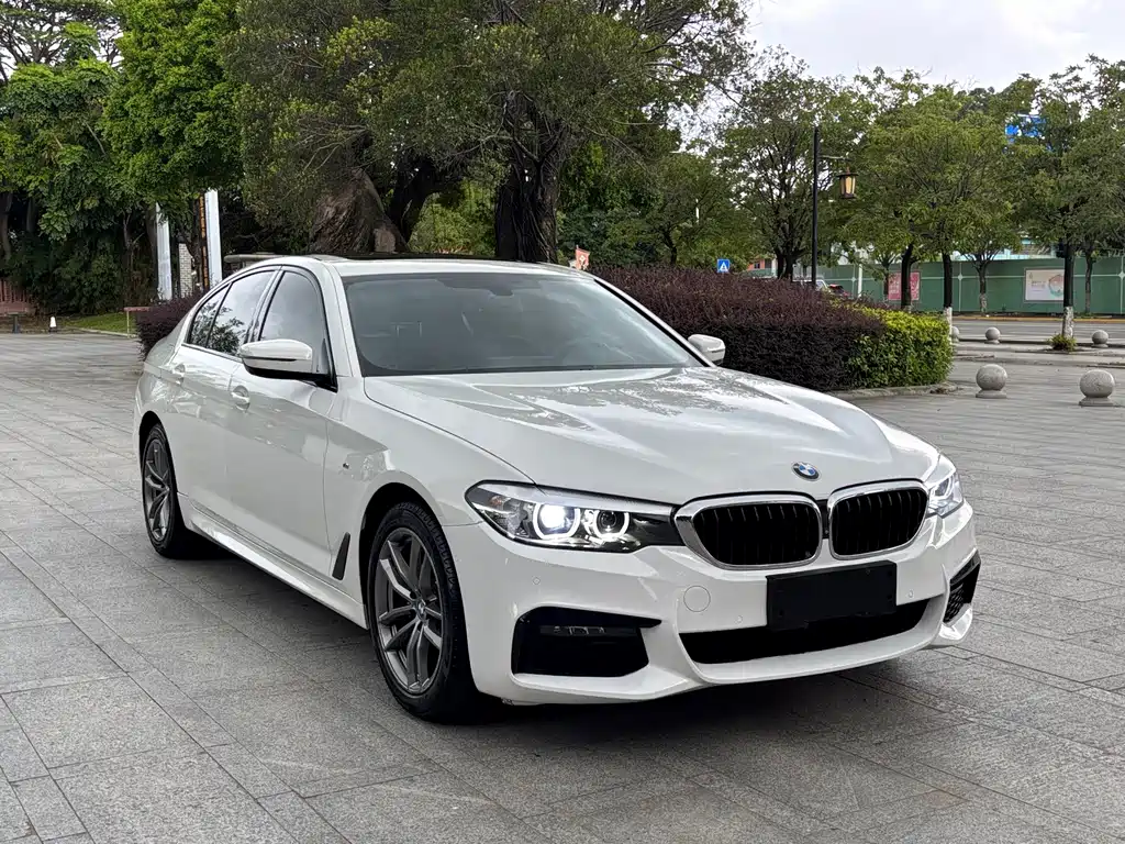 BMW 5 Series 5 2019 525i M Sport