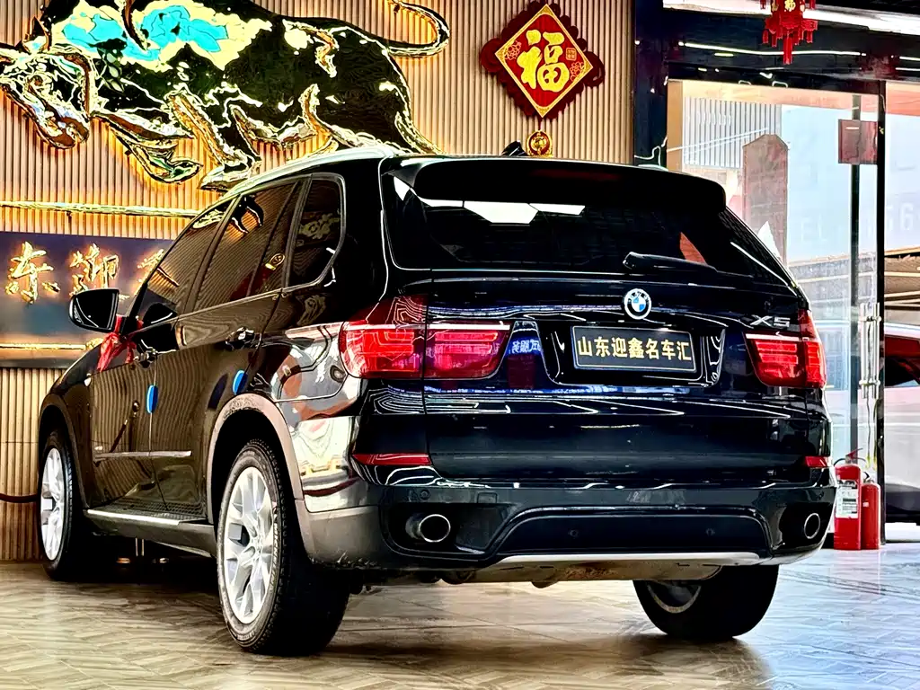 BMW X5 (Import) — миниатюра 19