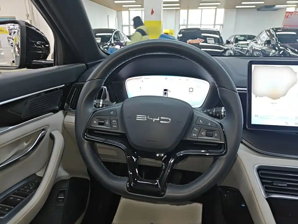 BYD PLUS New Energy — миниатюра 11