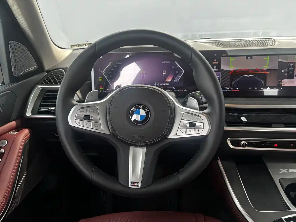 BMW X5 — миниатюра 16