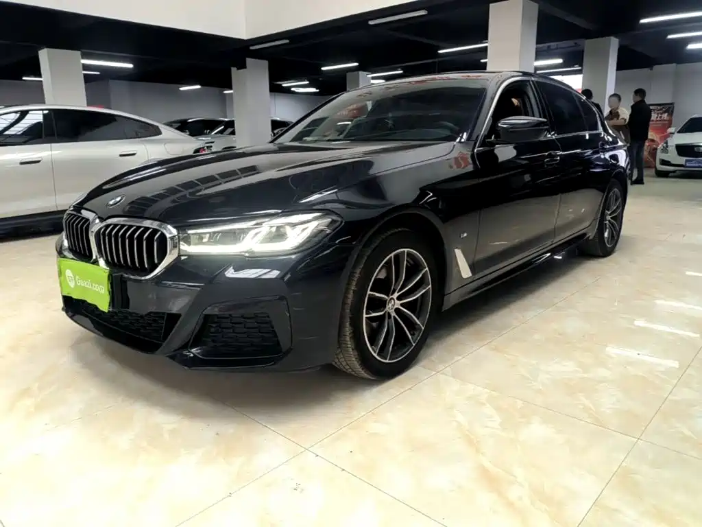 BMW 5 Series — миниатюра 2