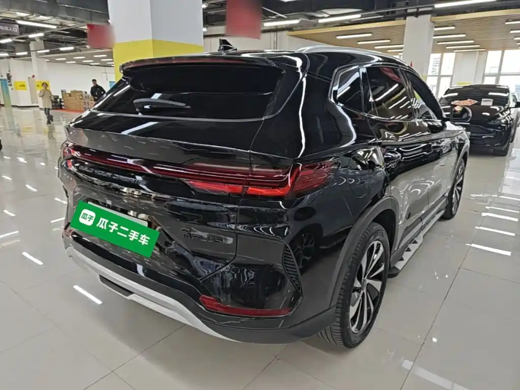 BYD PLUS New Energy — миниатюра 7
