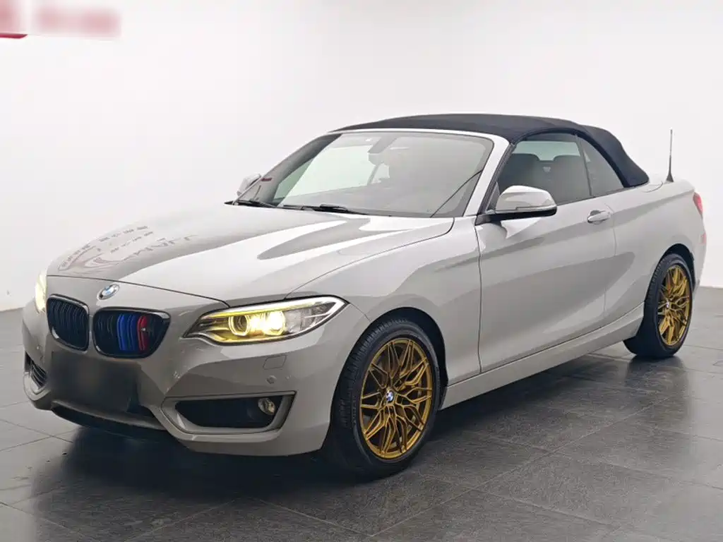 BMW 2 Series 2 2015 220i Lead