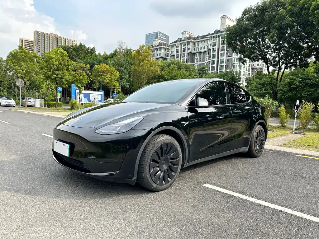 Tesla Model Y — миниатюра 2