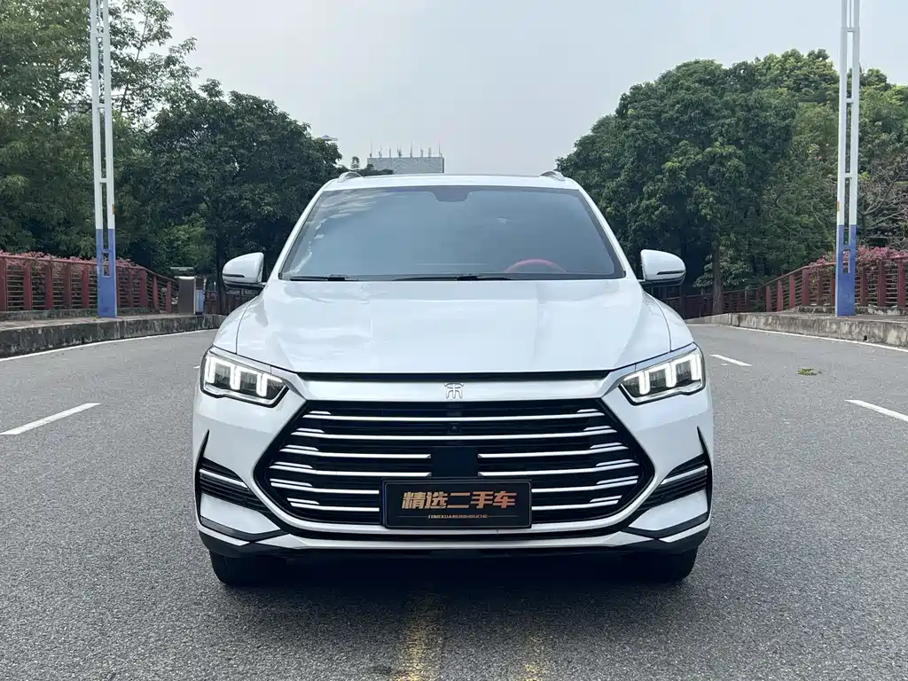 BYD Pro 2021