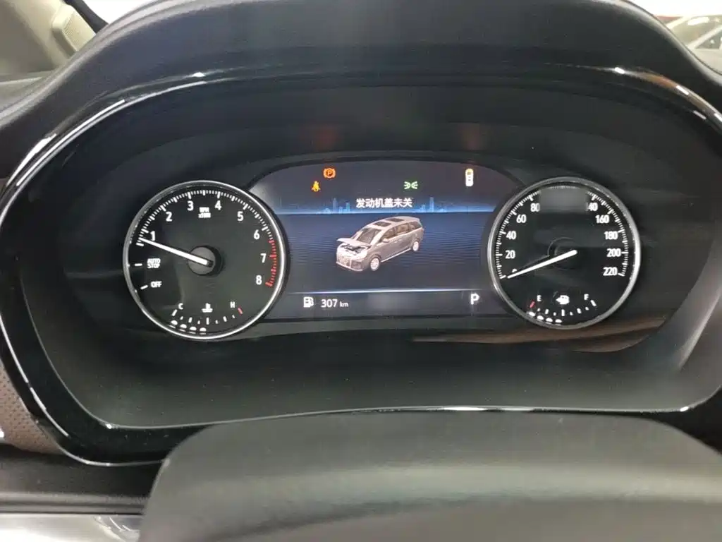 Buick GL8 — миниатюра 8