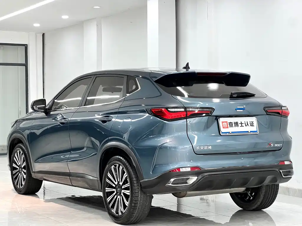 Oshan Oushang X5 — миниатюра 9