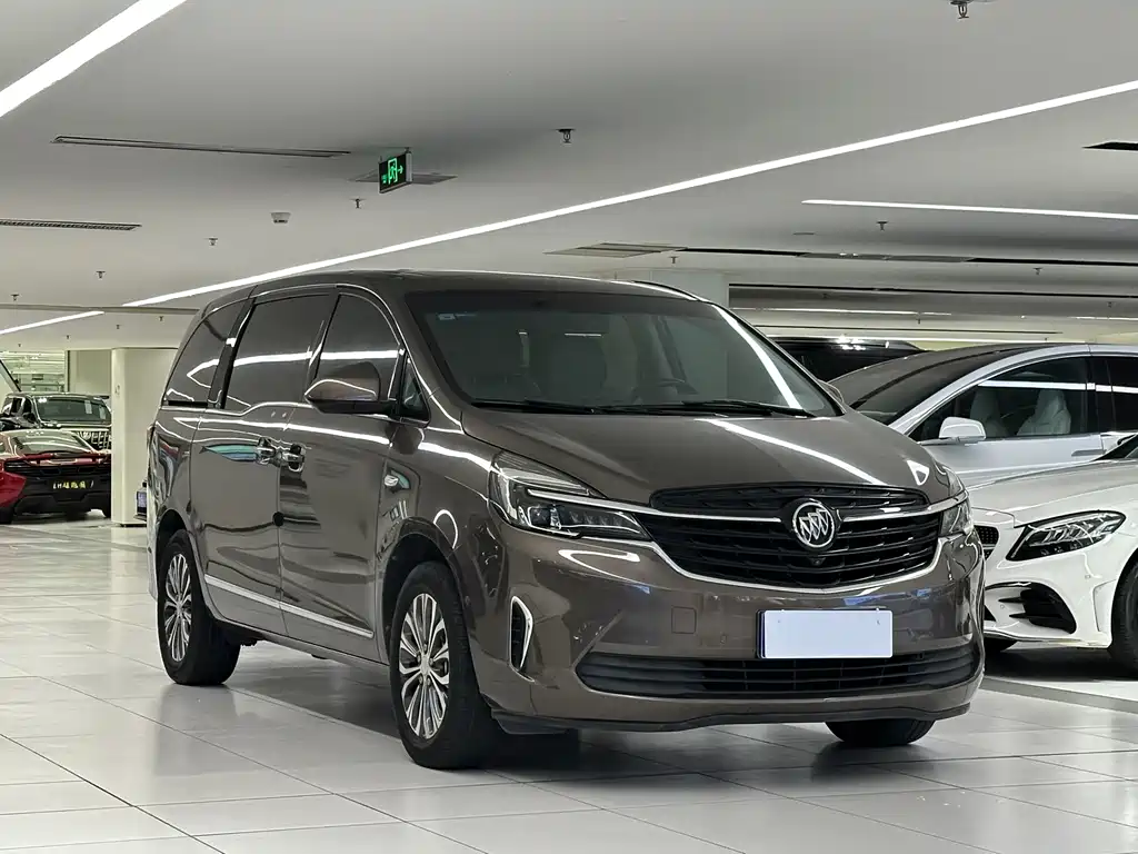 Buick GL8 — миниатюра 3