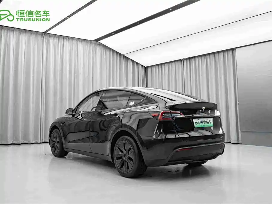 Tesla Model Y — миниатюра 7