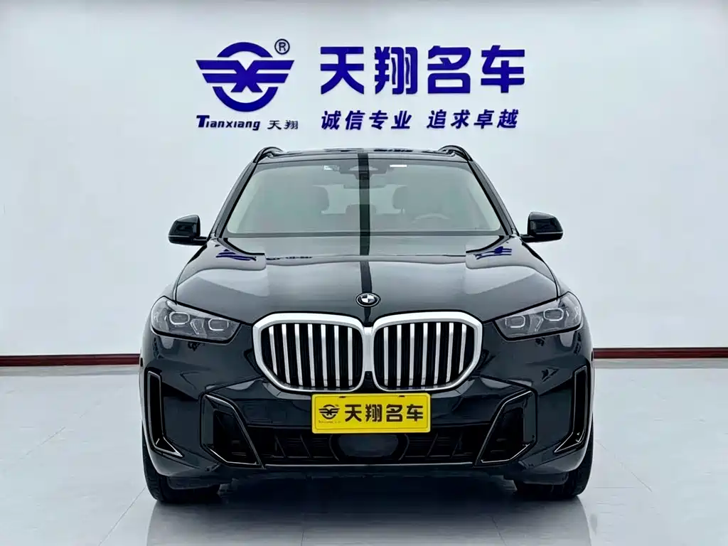 BMW X5 — миниатюра 3
