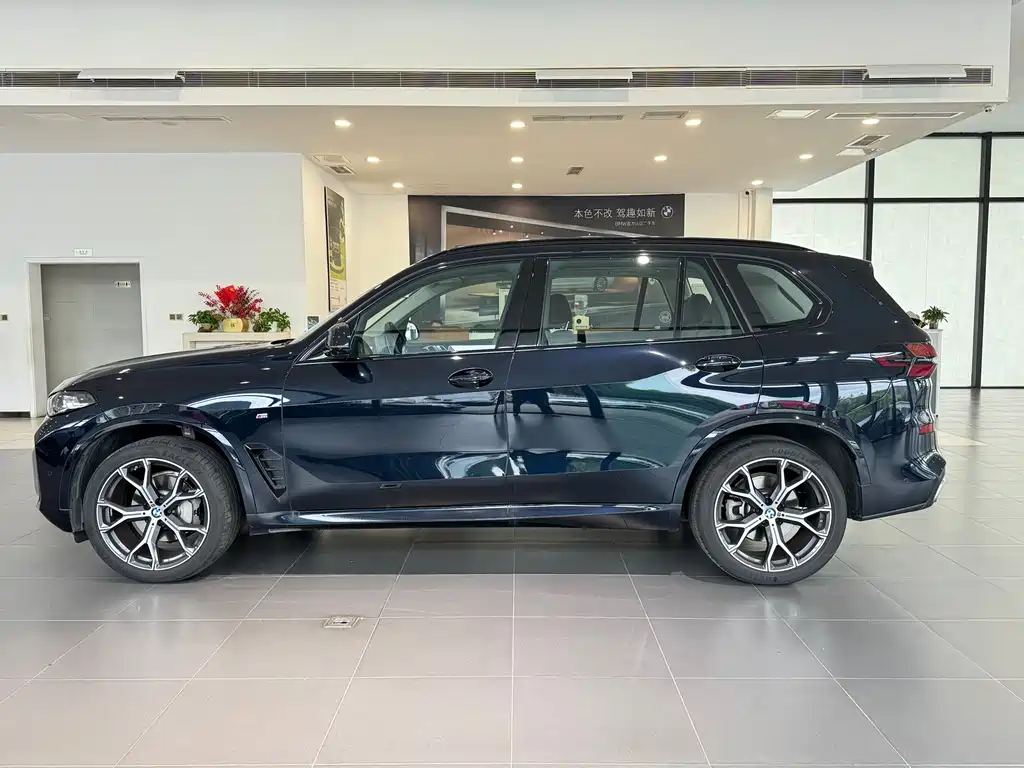BMW X5 — миниатюра 4