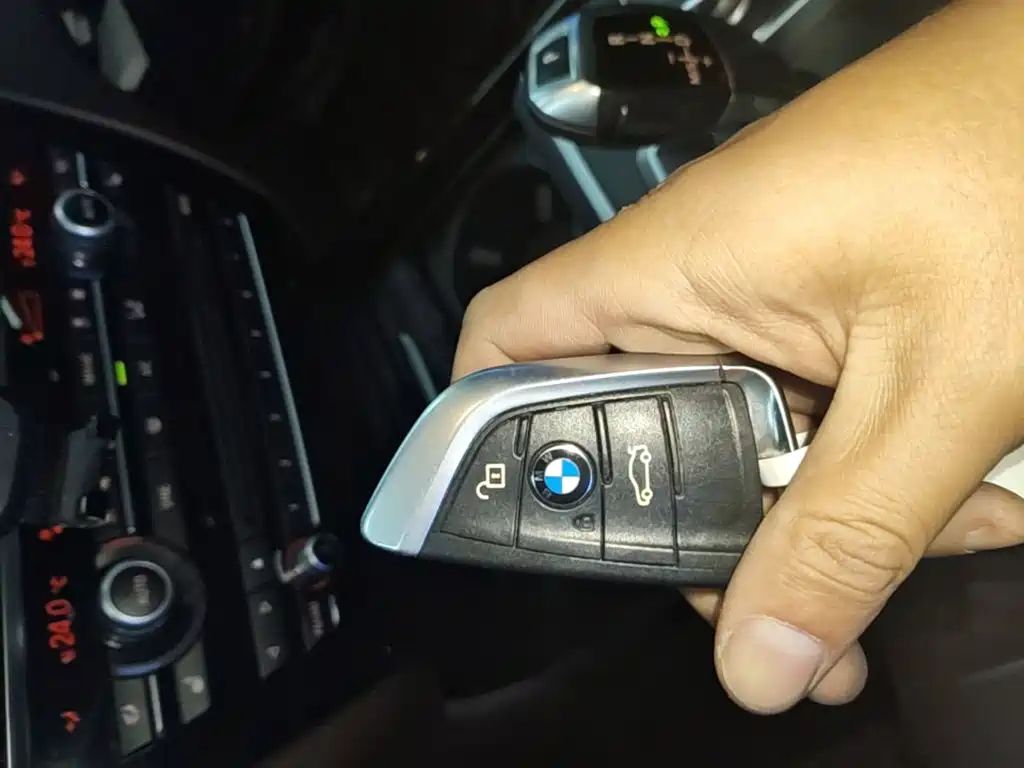 BMW X5 (Import) — миниатюра 9