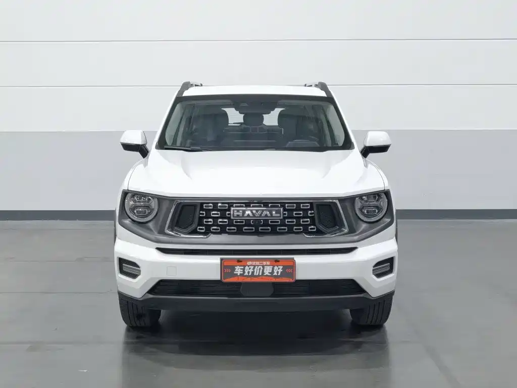 Haval Big Dog PLUS — миниатюра 3