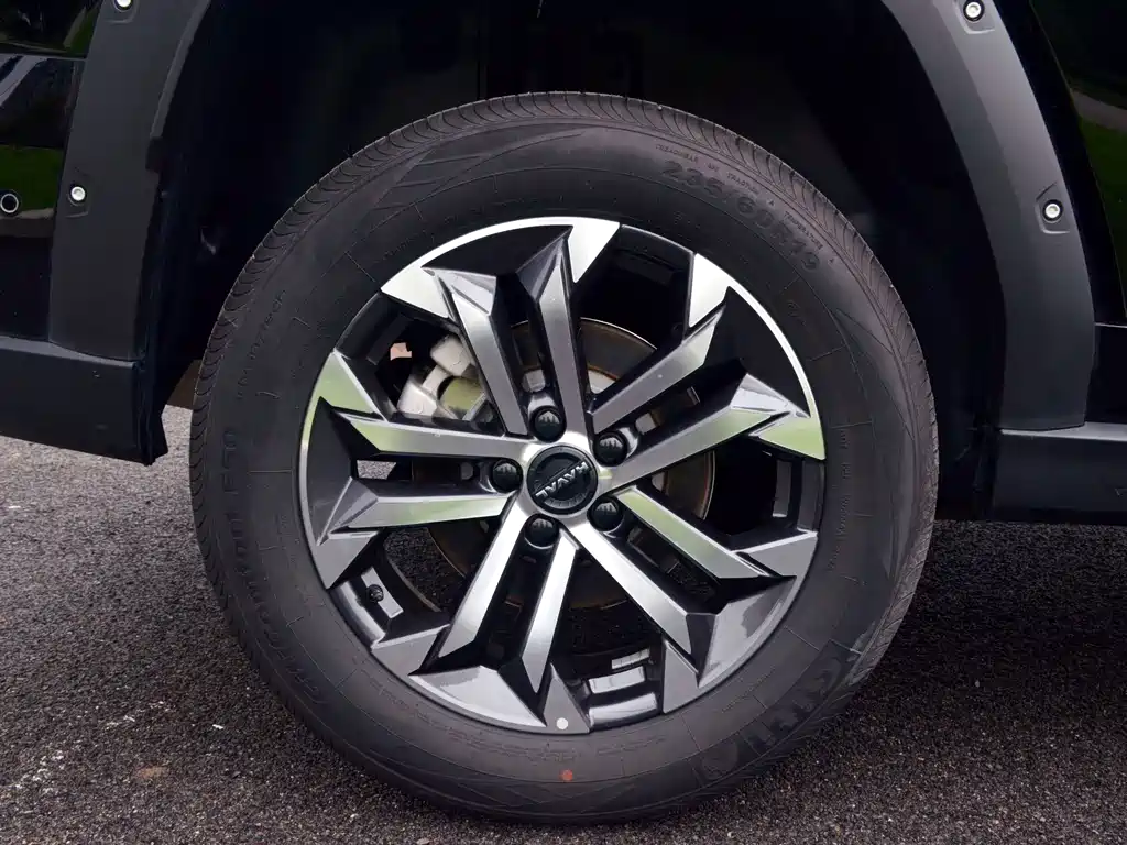 Haval Big Dog PLUS — миниатюра 13