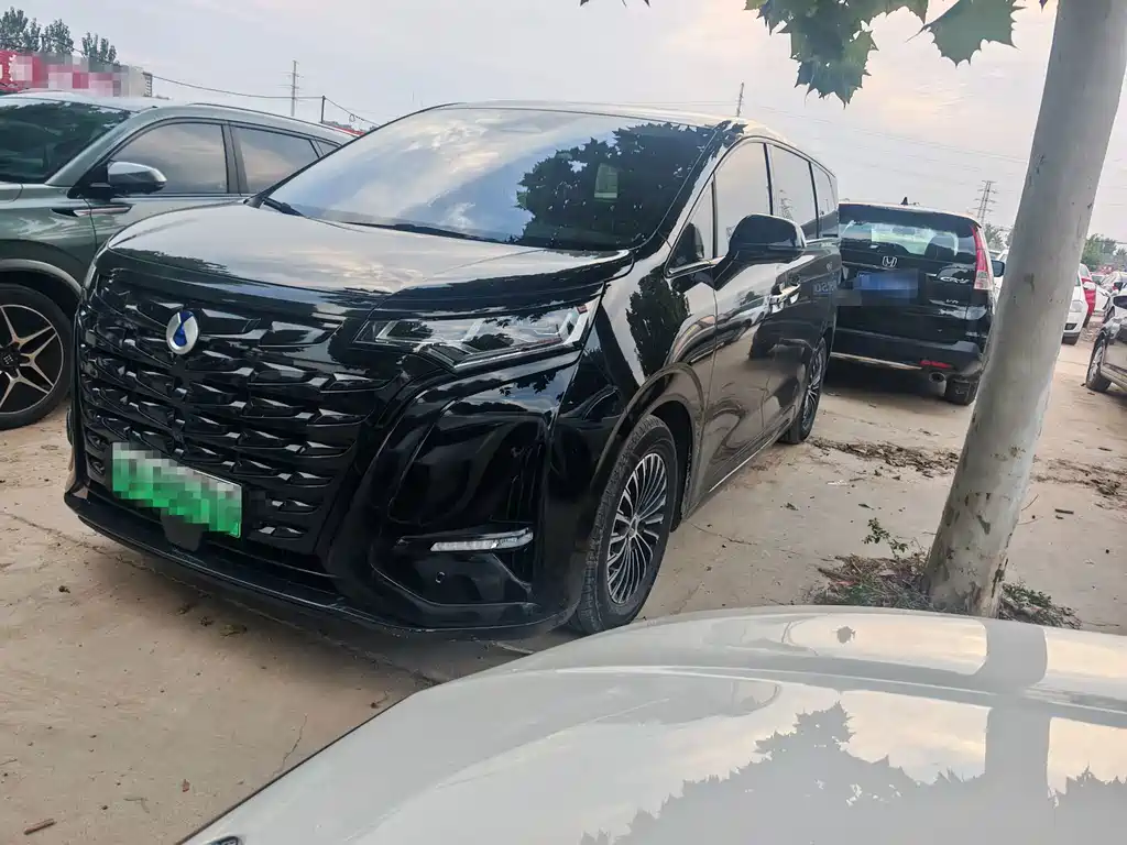 Denza Denza D9