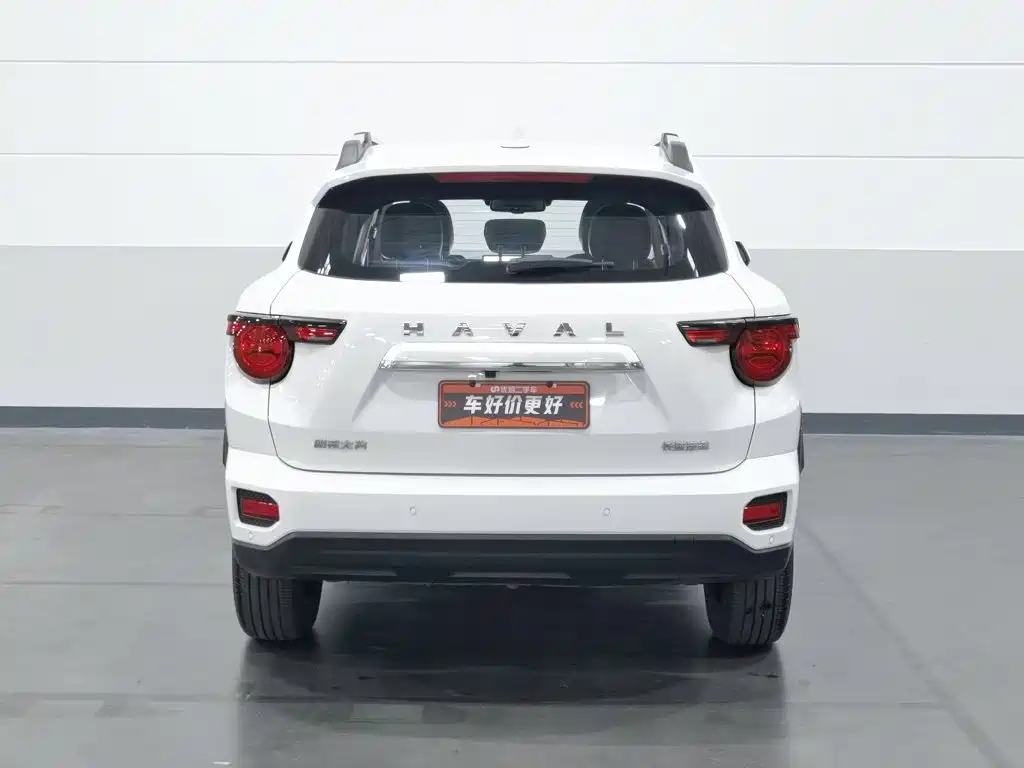 Haval Big Dog PLUS — миниатюра 4