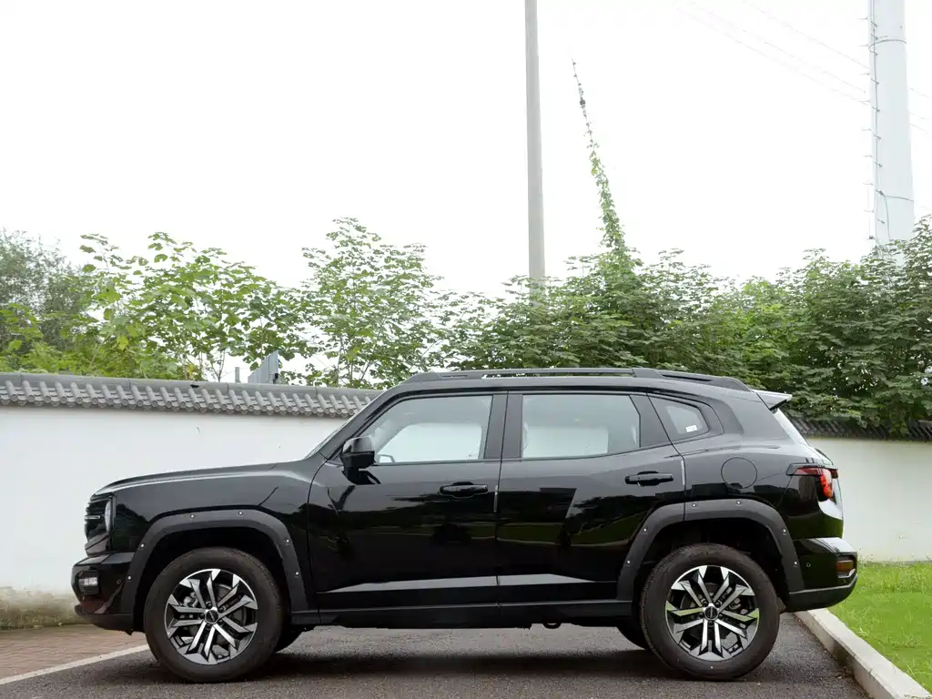 Haval Big Dog PLUS — миниатюра 7