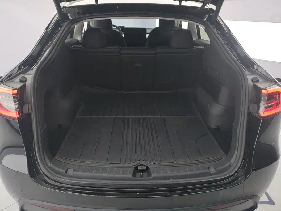 Tesla Model Y — миниатюра 4