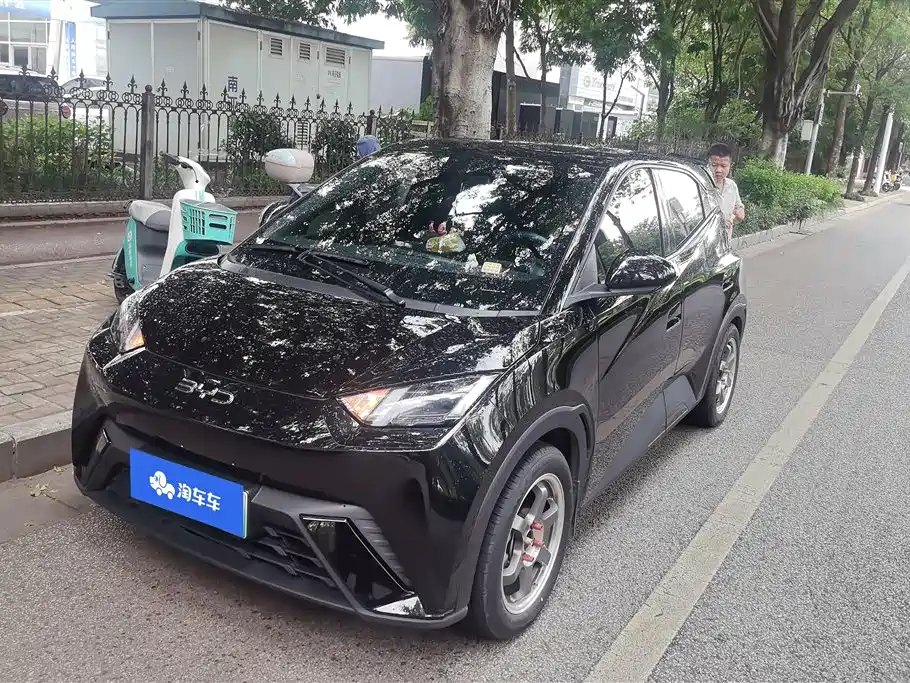 BYD Seagull 2024 405km Flying