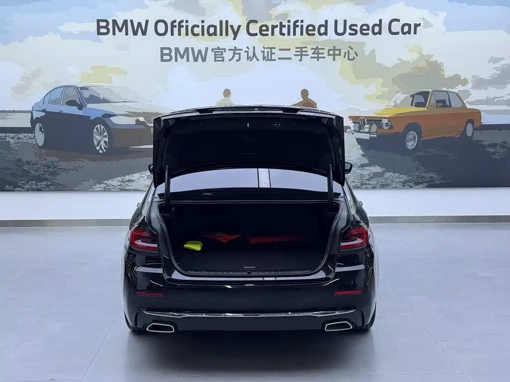 BMW 5 SERIES NEW ENERGY