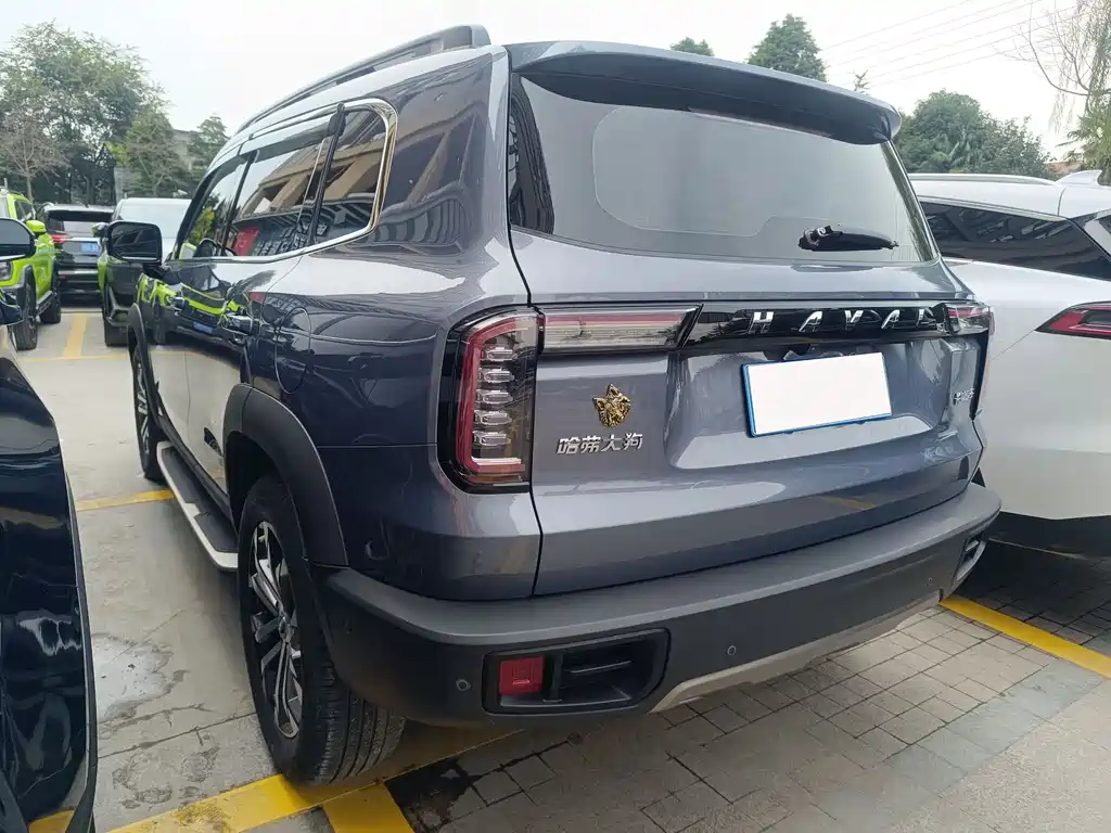 HAVAL BIG DOG