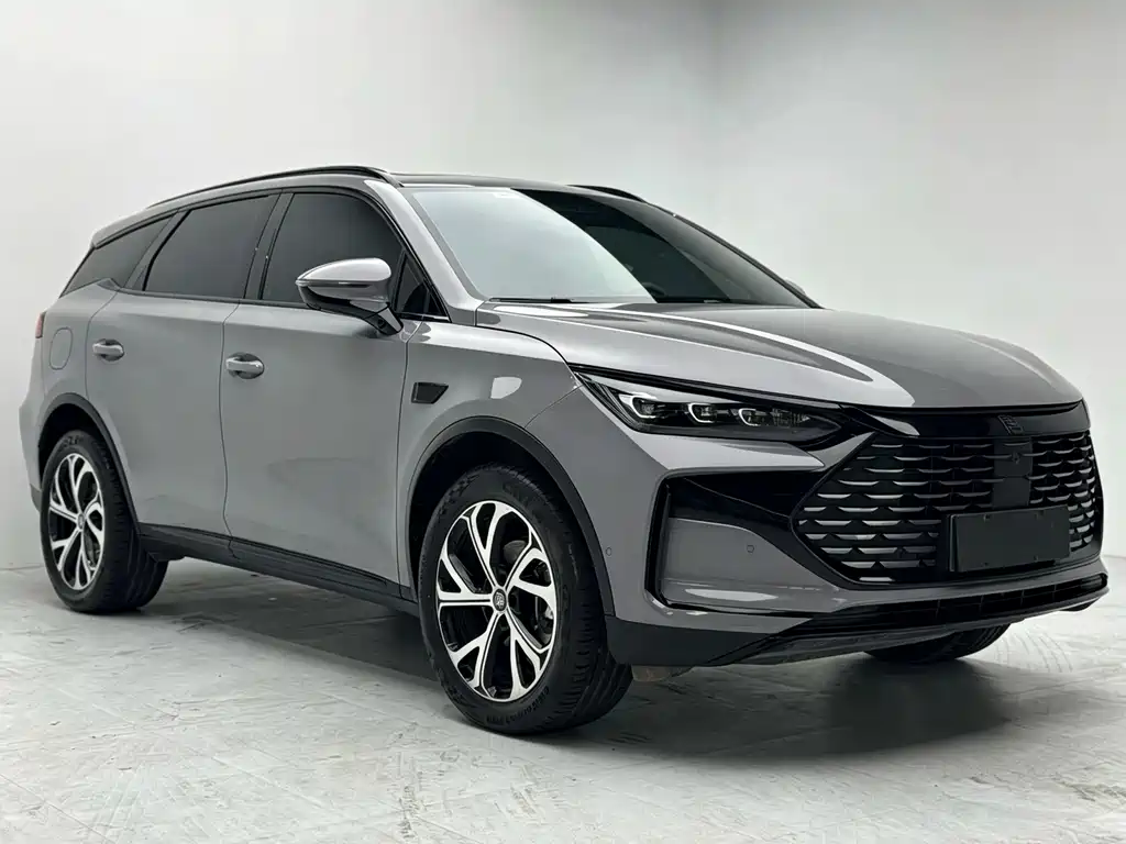 BYD Tang New Energy — миниатюра 2