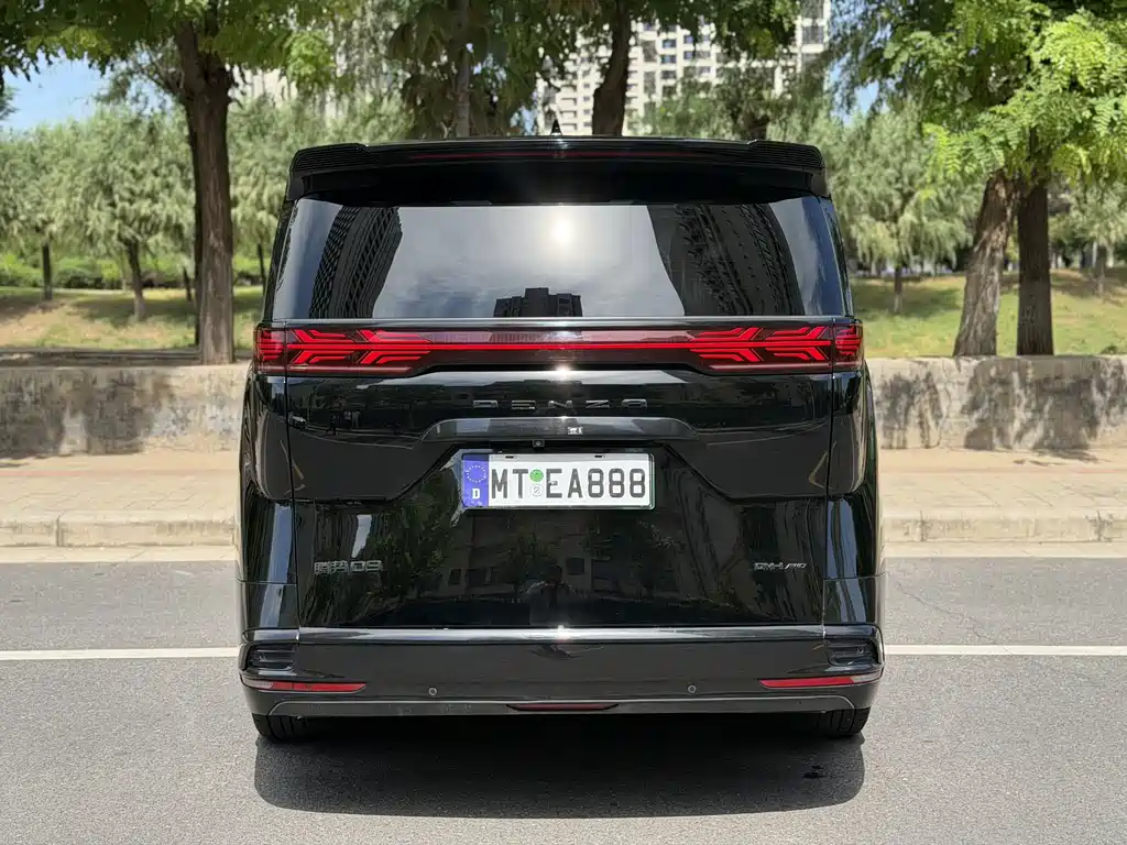 Denza Denza D9 — миниатюра 9