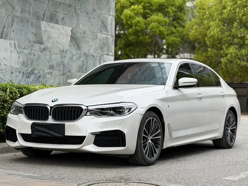 BMW 5 Series 2019