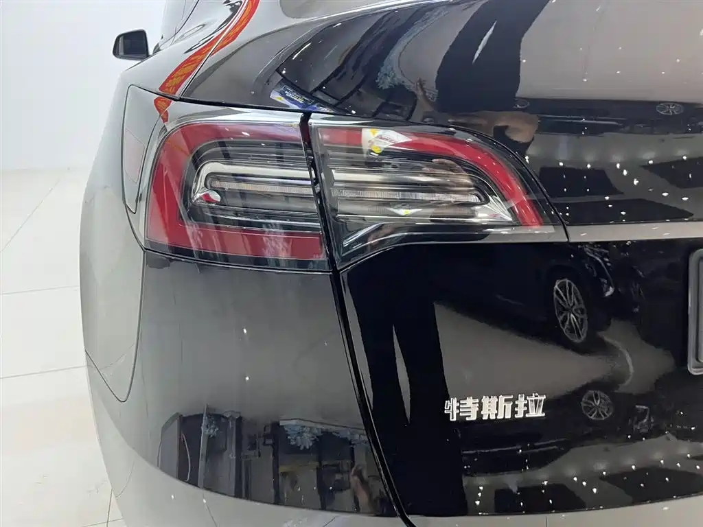 Tesla Model Y — миниатюра 5