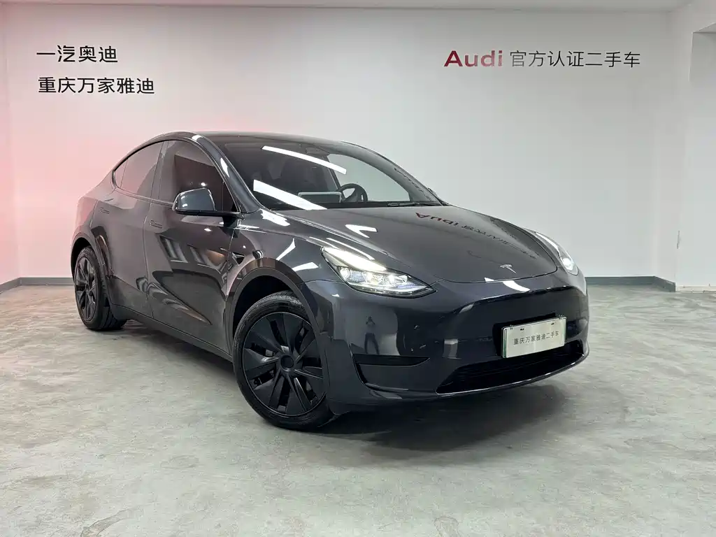 Tesla Model Y — миниатюра 2