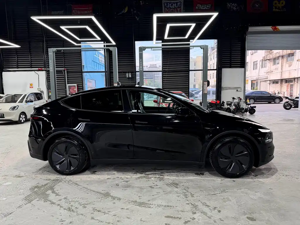 Tesla Model Y — миниатюра 4