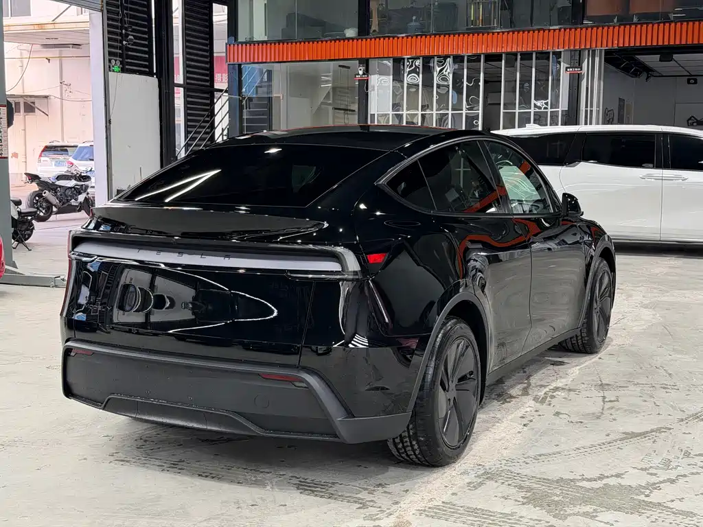 Tesla Model Y — миниатюра 6