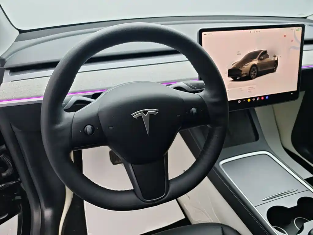 Tesla Model Y — миниатюра 11