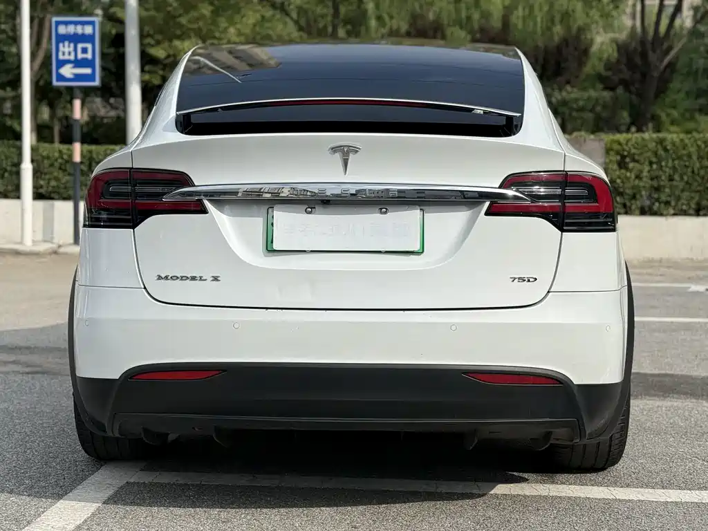 Tesla Model X — миниатюра 9