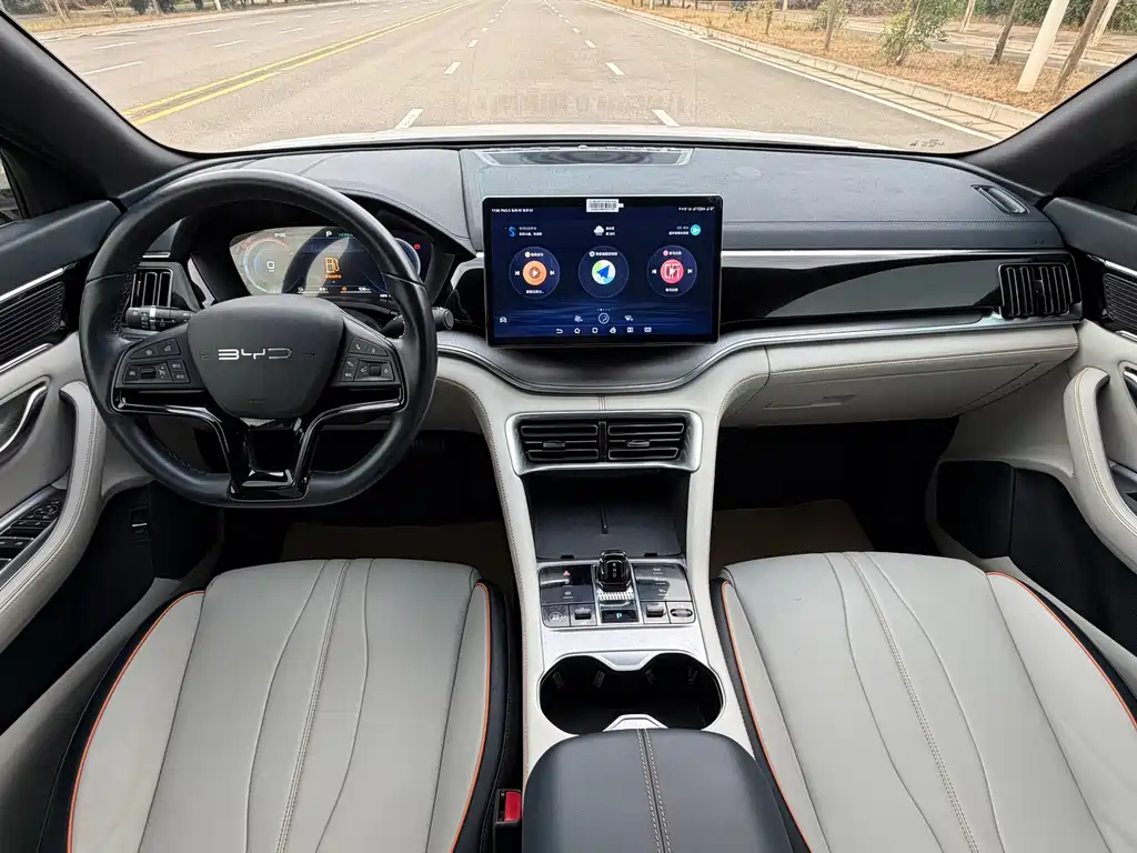 BYD PLUS New Energy — миниатюра 9