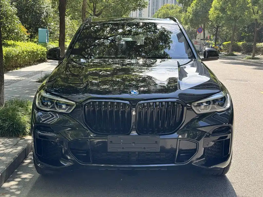 BMW X5 — миниатюра 2