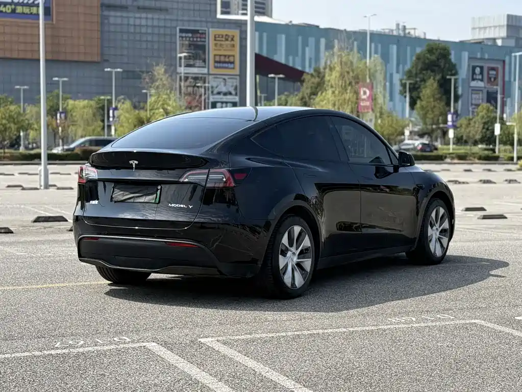 Tesla Model Y — миниатюра 6